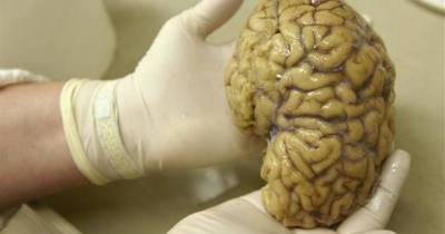 The Most Bizarre Stories From Doctors About Their Patients