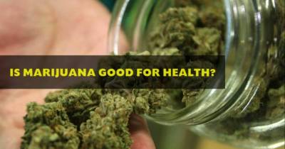 Is Marijuana/Weed Really Healthy? Or Are The Social Media Memes Fake?