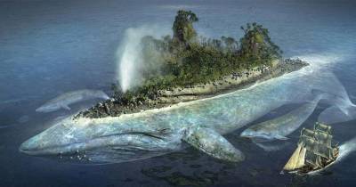 Humans Once Believed These Animals Existed
