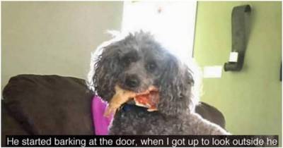 16 Times People Were Hilariously Outsmarted