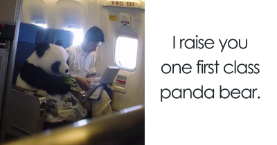 The Funniest Things That Have Ever Happened On A Plane