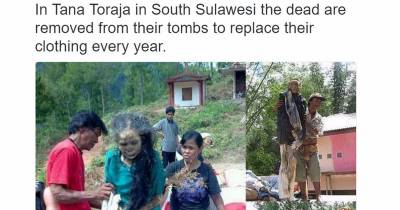 18 Horrifying Pictures That Are Nothing Like You've Ever Seen Before