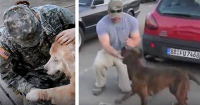 Don&rsquo;t Miss This Heartwarming Video Of Dogs Greeting Their Army Owners After They Return Home