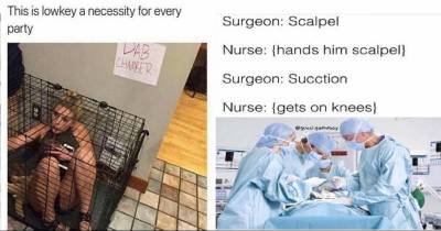 Memes That Are Guaranteed To Ruffle Your Feathers