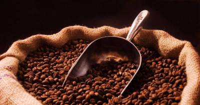 5 Facts About Coffee Beans That Everyone Should Know