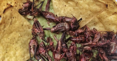 17 Of The Most Bizarre And Disgusting Foods From Around The World