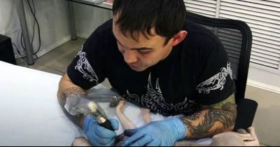 People Are Outraged With This Tattoo Artist Giving His Hairless Cat Tattoos