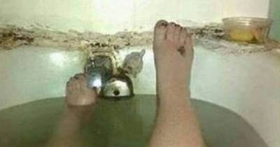 16 Nasty People Doing Nasty Things