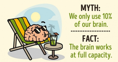 12 Myths About The Human Body That We Should Forget