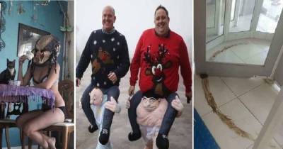 Insane Images That Will Make You Scream WTF