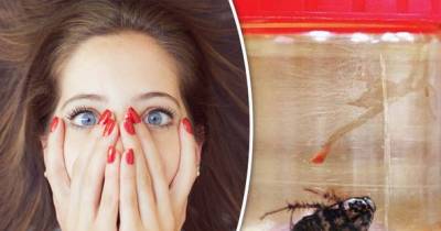 Woman Feels "Crawling" In Her Head And What Docs Found Is Horrifying
