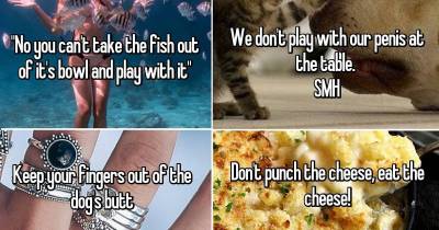 Hilarious Rules Parents Never Thought They Would Have To Make