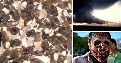 20 People Describe How A Dead Body Smells