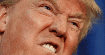 8 Donald Trump Quotes That Are Absolute Rubbish.