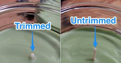 You&rsquo;ve Been Burning Candles Wrong Your Whole Life