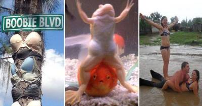 Crazy Stuff Sure To Crush Your Boredom