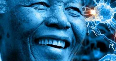 Mind Boggling Examples Of The Mandela Effect