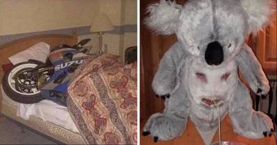 15 Weird Pictures That Unexpectedly Made Me Laugh So Hard