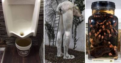 Images That Are Absolutely WTF