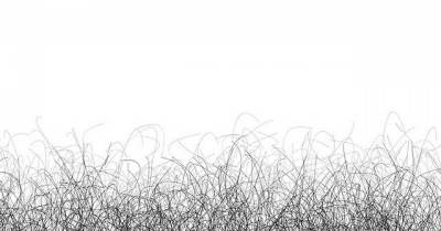 5 Interesting Facts About Pubic Hair