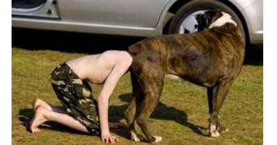 It&rsquo;s NOT What You Think It Is (15 Crazy Pics)