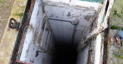 California Couple Inherits 50-Year-Old Secret Beneath Their New Home