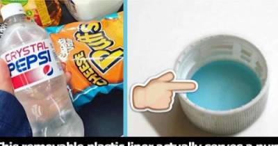 10 Game-Changing Facts About Everyday Things You Probably Didn't Know