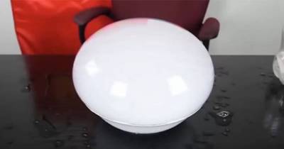 We Found The Most Satisfying Video Of All Time
