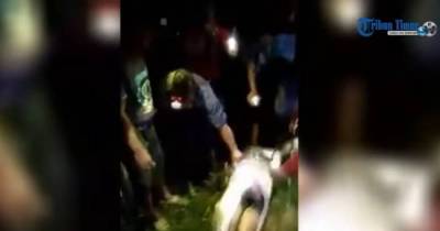 OMG! They Just Found A Missing Man...INSIDE A SNAKE'S STOMACH