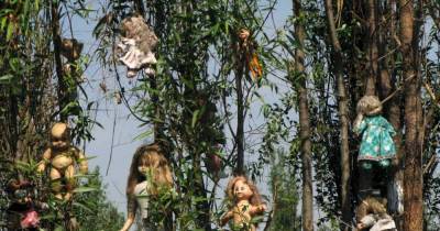 14 Creepiest Things Ever Found In The Woods...Caught On Camera
