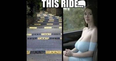 10 WTF Pictures You Could Look At All Day