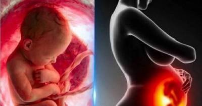 10 Amazing Facts About Pregnancy That You May Not Know. This Is Beyond Amazing