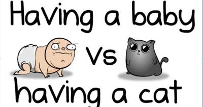 Having A Child Or Having A Kitty: Which One Is Better?