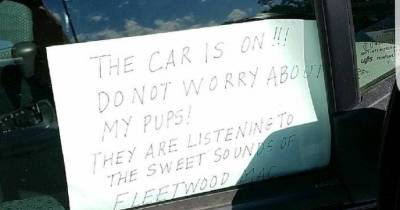 Hilarious Pics For Bored People
