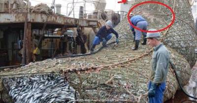 Fishermen Found Something Unexpected In Their Fishing Net