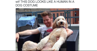 These Dogs Look Exactly Like Humans And We Don&rsquo;t Know How To Feel About It
