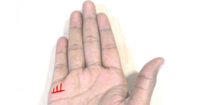 How Many Children Will You Have According To Your Palm Lines?