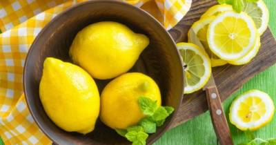 Reasons Why Lemons Are The Most Useful Thing In The World