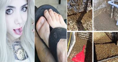Pictures That Will Make You Shout WTF
