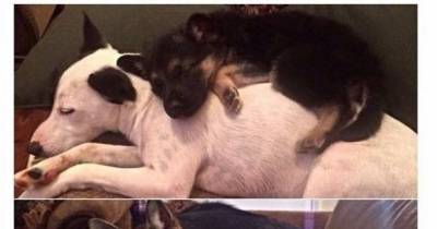 Pictures That Are Bound To Hit You Right In The Feels