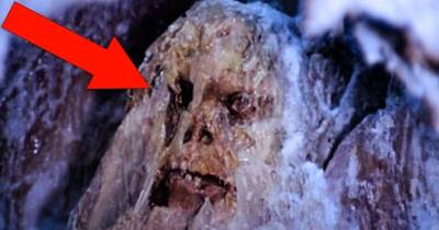 Terrifying And Weird Things That Came Out Of Nature&rsquo;s Deep Freeze