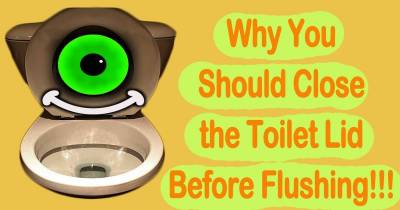 This Disgusting Fact Is Why You Should Always Close The Lid Before You Flush Your Toilet