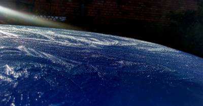 These Amazing Images Will Make You Take a Second Look. Wait Until You See What They Really Are.