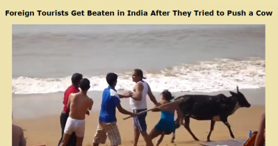 Foreign Tourists Get Beaten In India After They Tried To Push A Cow