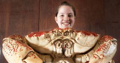 The Rarest Of Rare Awesome Things Found On Earth