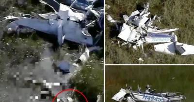 Giant Alligator Spotted Consuming Corpse Of Florida Plane Crash Victim.