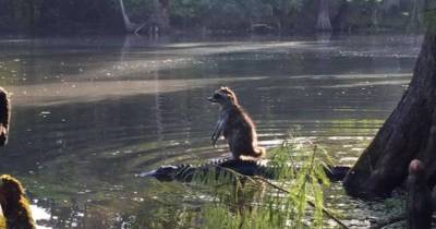 Bizarre True Stories That Will Shock You