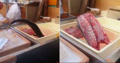 People Are Freaking Out Over This Video Of A Fish Still Flailing After Being Cut In Half