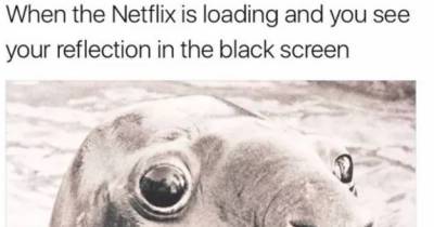 We Dare You Not To Laugh At These 23 Animal Memes