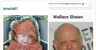 Babies That Look Like Other Things